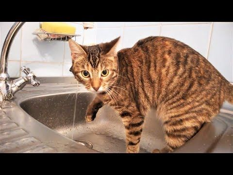 Фото из открытого доступа с сайта https://www.google.com/search?q