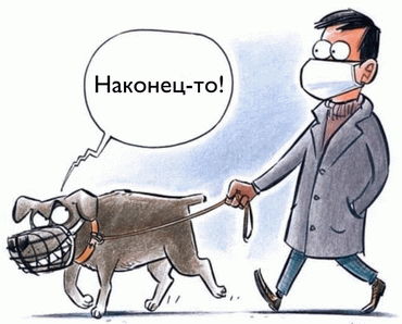 Картинка взята с Яндекс-картинки