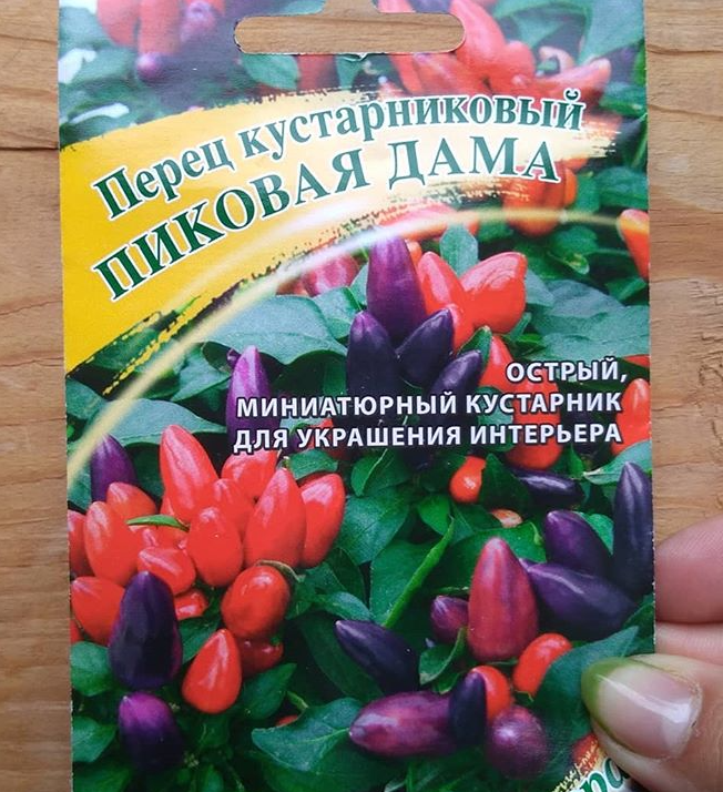 Перец острый кустарниковый Пиковая дама - описание семян с фотографиями растения