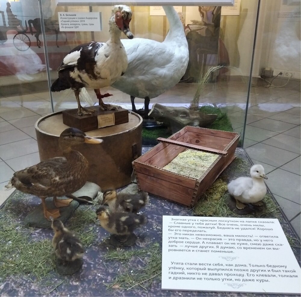 Гадкий утенок - лебеденок.