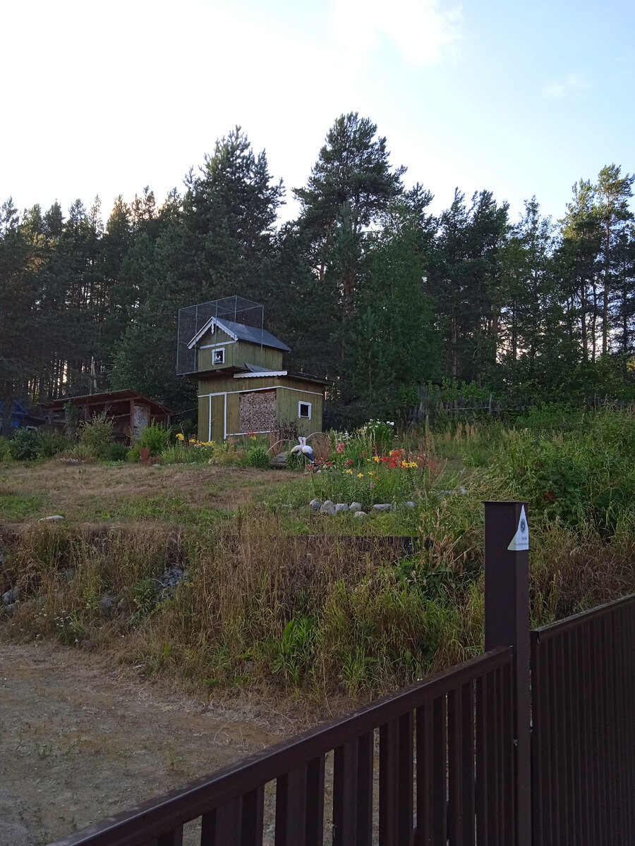 ФОТО голубятни. 