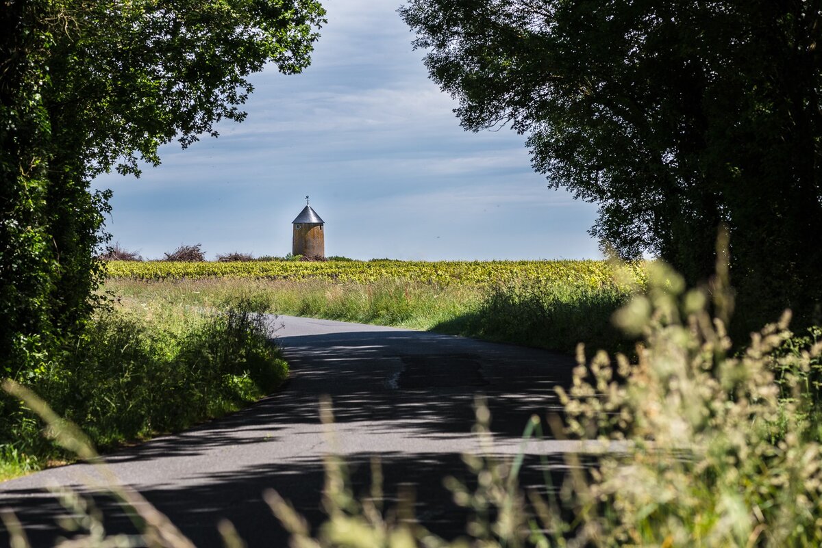 Фото: © Muscadet Vins De Nantes  