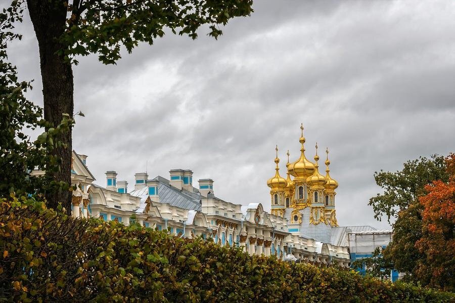 Фото: pixabay.com 