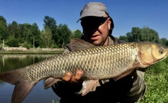 Добавьте описание