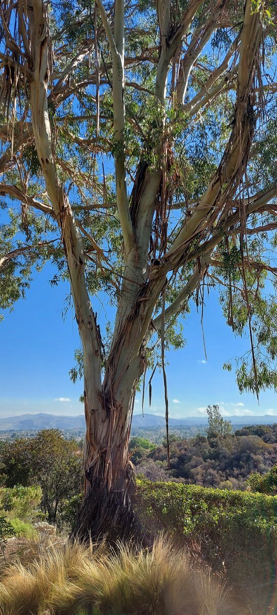 Фото из личного архива автора. 