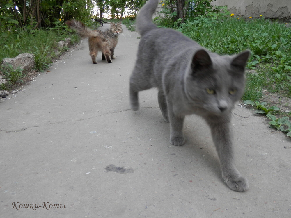 3. Все оглядываются