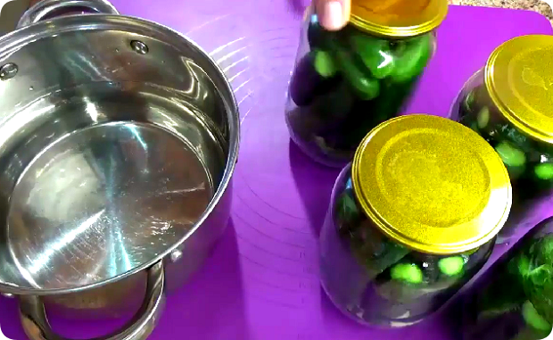 ПОДПИШИТЕСЬ  НА  КАНАЛ  И  ПОСТАВЬТЕ  ЛАЙК!