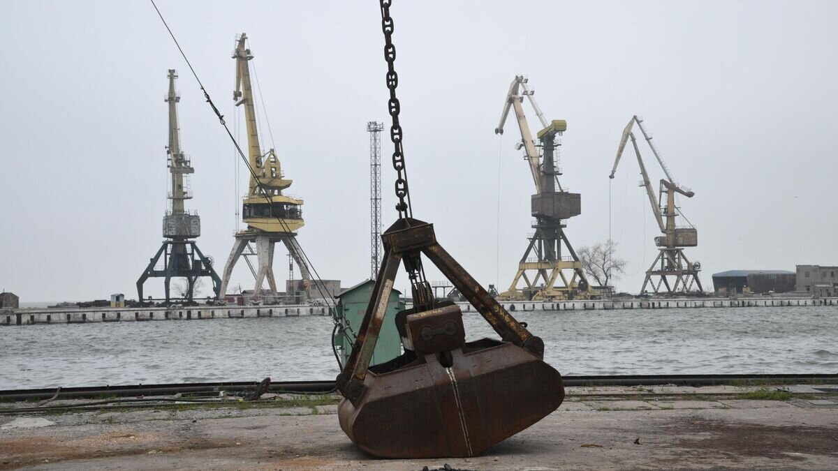    Портовые краны в морском торговом порту Мариуполя© РИА Новости / Илья Питалев