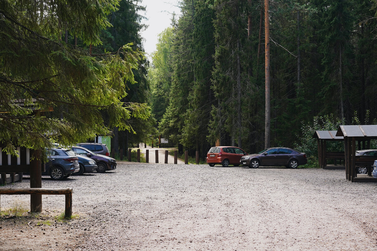 Парковка и беседки на входе в Рощу. Также тут есть урны и туалет. 