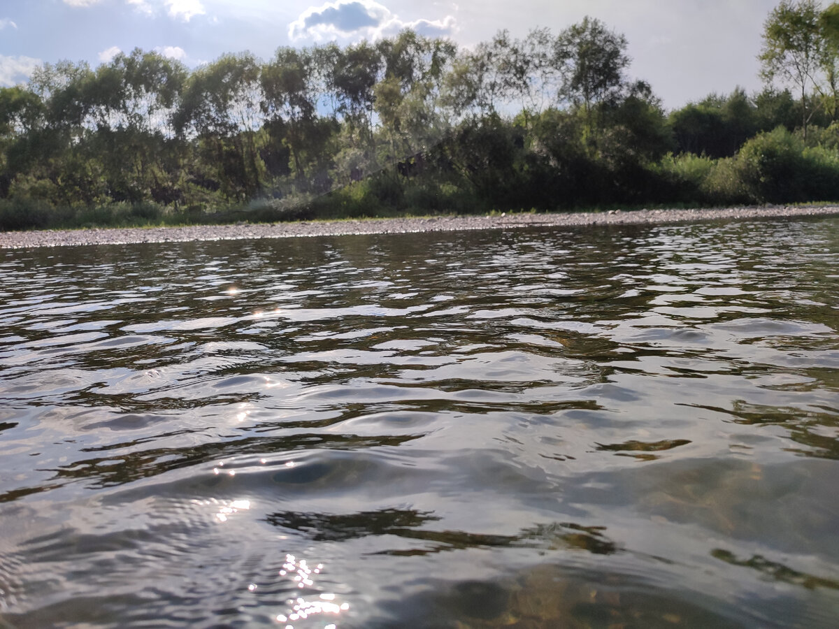 фото автора. Солнечная дорожка на воде