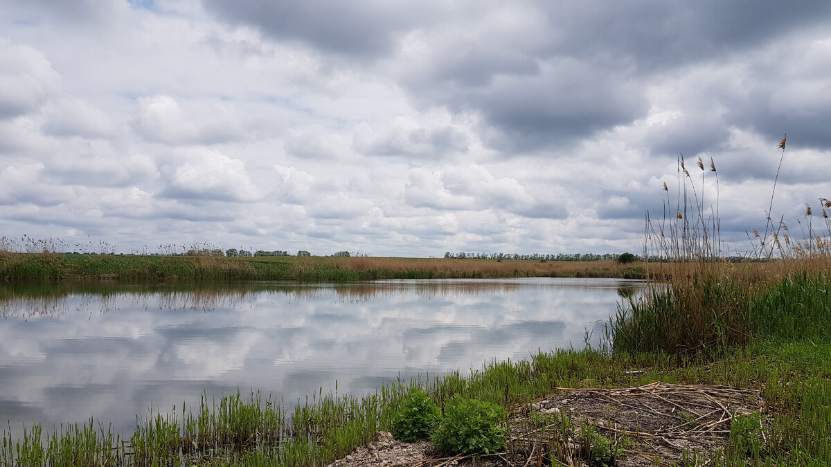 Отражение облаков в реке. Фото valestvcool.