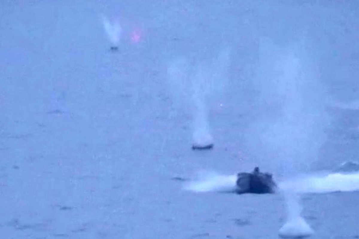    Германия анонсировала поставку Украине 50 надводных дронов