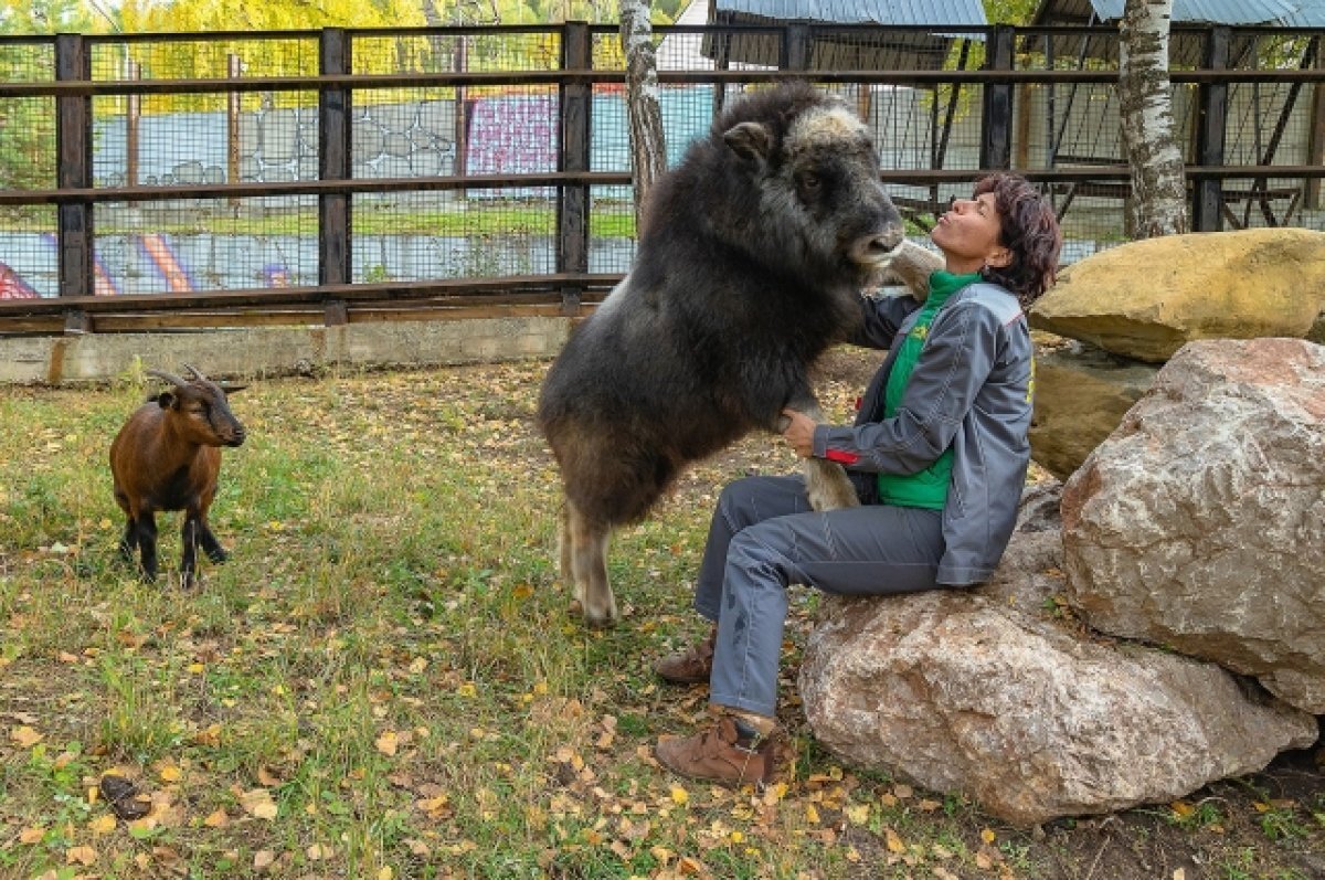    Аланочка любит обнимться.