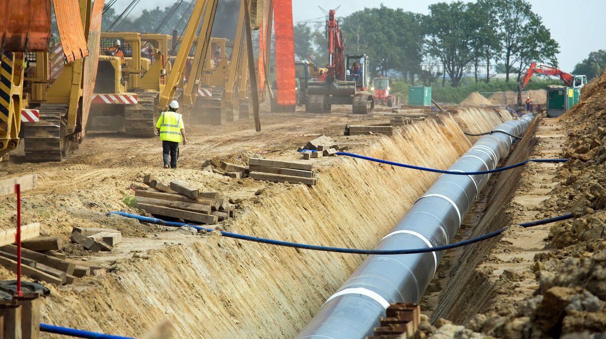 Фото: © GLOBAL LOOK press/Andreas Bastian