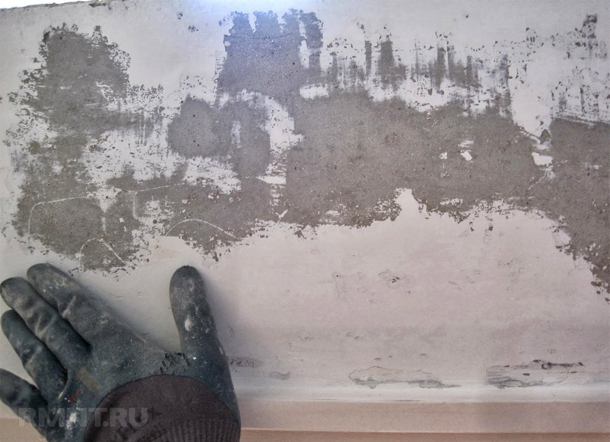 Фото dockerspb.ru