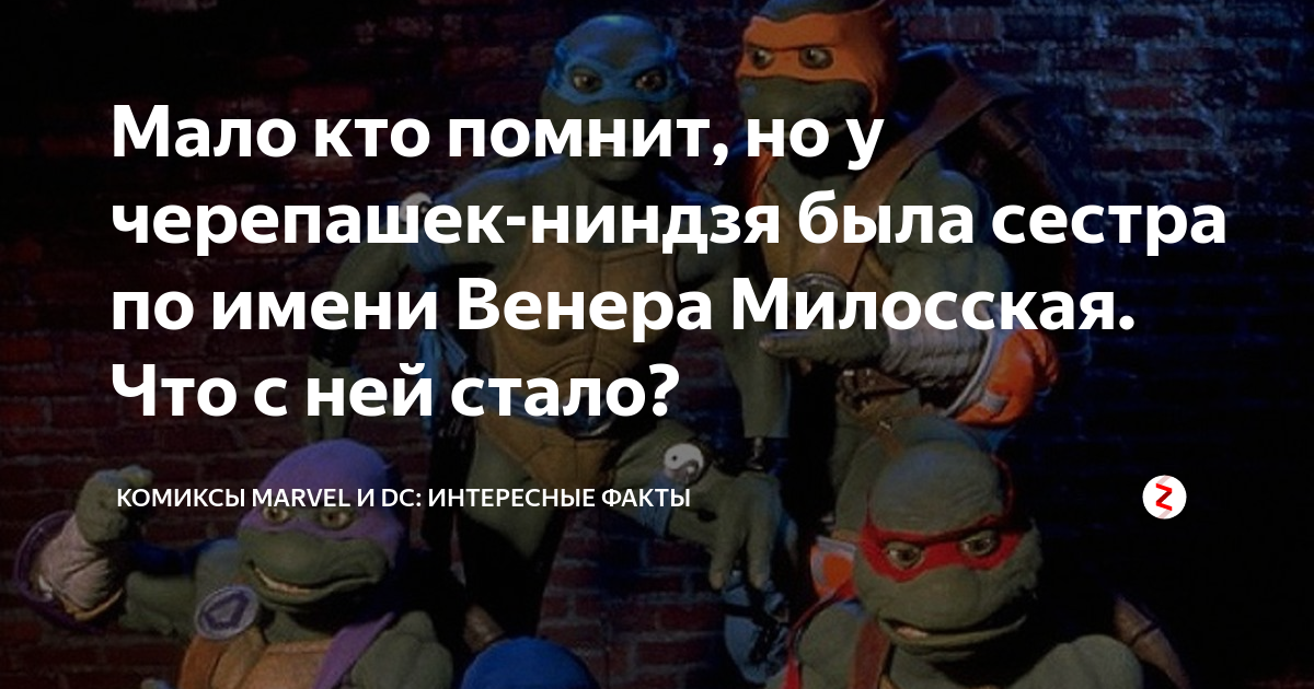 Мало кто помнит, но у черепашек-ниндзя была сестра по имени Венера ...