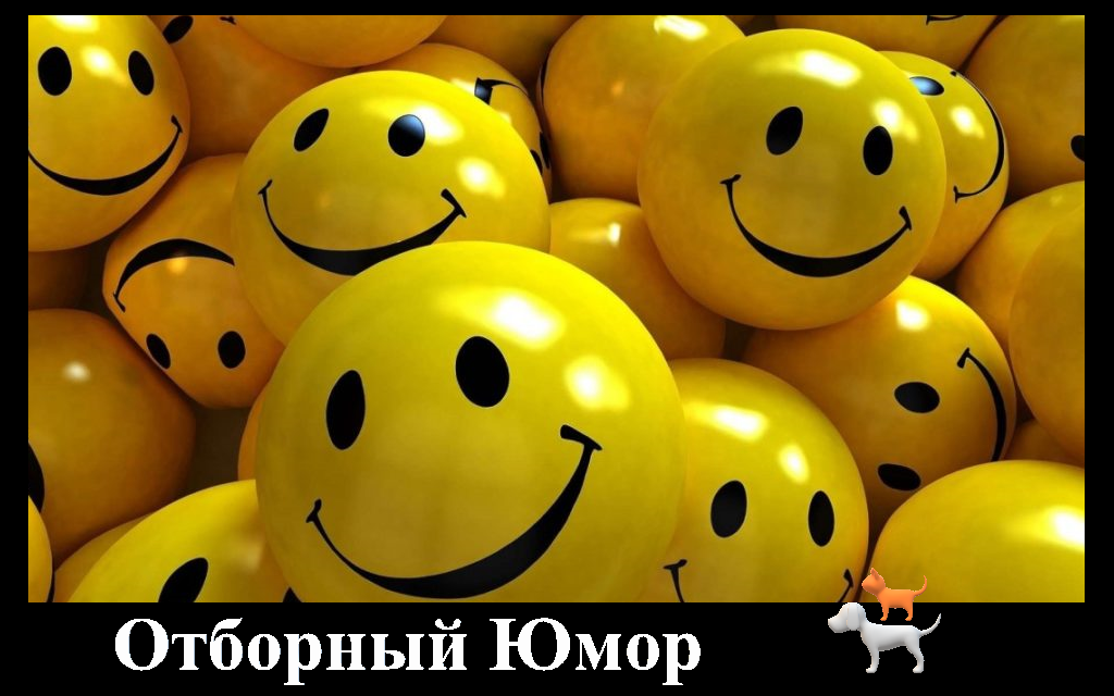 – Чего вы хотите? – Я хочу найти самого себя.
– Так вот же вы.
– А, точно. Спасибо.
