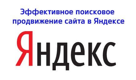   Да, я оказываю услуги по продвижению сайтов в ПС Яндекс. Опыт продвижения сайтов более 3 лет.