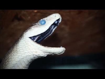 Теги::Арслан Валеев