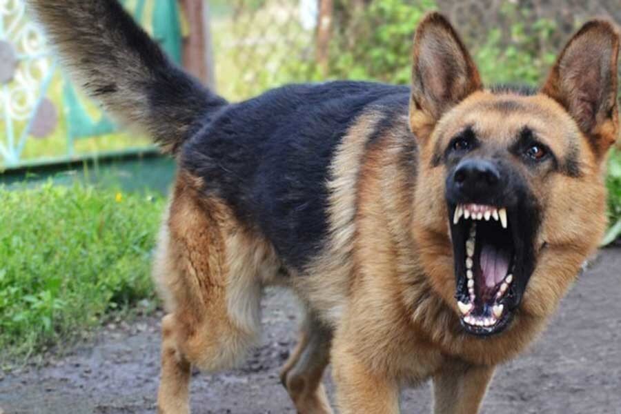 Фото из интернета