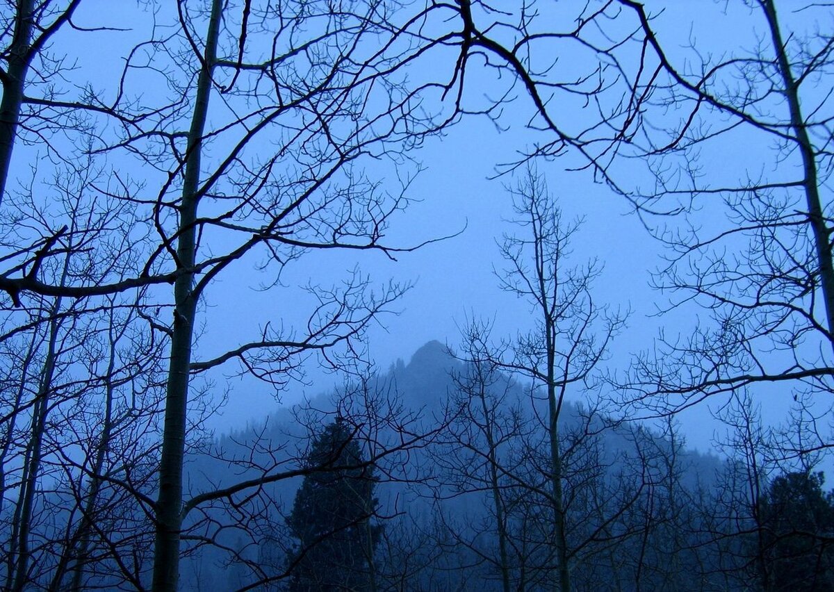 Изображение с открытого источника  http://oboi.cc