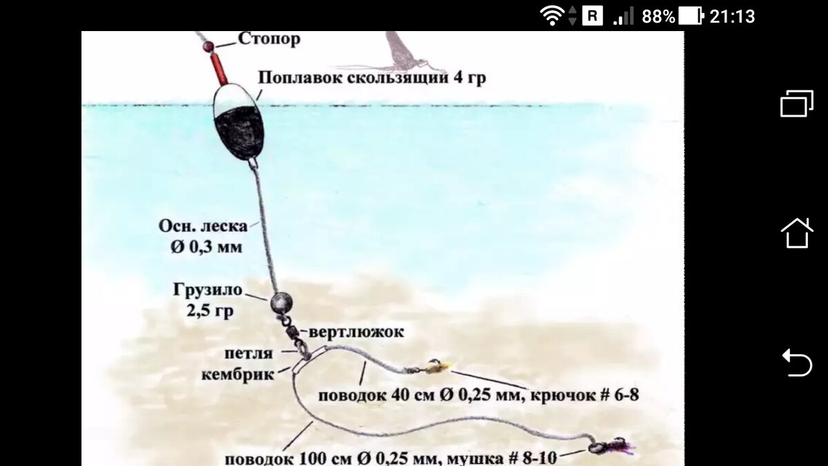 Как привязать поводки чтобы они не путались. Лучшие рыболовные узлы как привязать крючок к леске