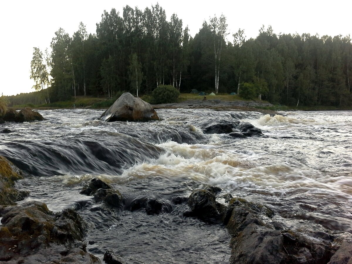 Река мста пороги