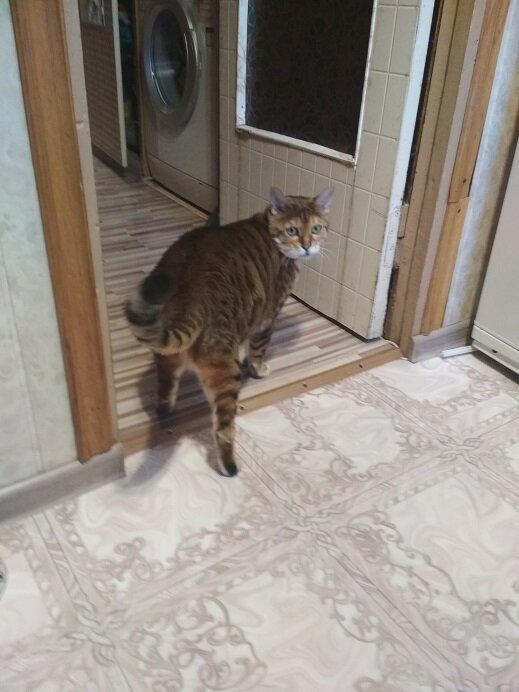 Ваши мысли настолько гениальны, что санитары уже приехали!