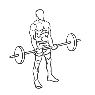 Сделайте вдох, не дышите. Согните руки в локтях, поднимая штангу вверх, чтобы она была на уровне груди. Во время подъема штанги на бицепс не нужно двигать локтями. Нужно держать их по обоим бокам туловища. Также не сгибайте ваши руки в запястьях.
Вам потребуется сделать паузу в то время, когда кисти рук будут на уровне грудной клетки. Затем выдохните, напрягая одновременно бицепсы.
Медленно и плавно опустите штангу вниз, но не нужно разгибать руки полностью (это блокирует локтевой сустав).
На протяжении всего упражнения пытайтесь избегать наклона торса ни вперед, ни назад. Пытайтесь держать правильную осанку, ведь все нюансы отражаются на продуктивности упражнения.