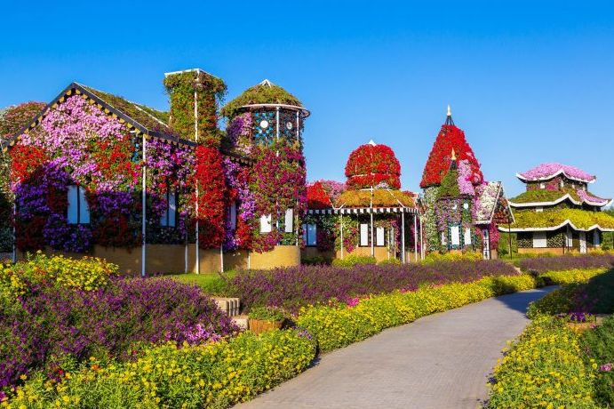 Фото с просторов Интернета