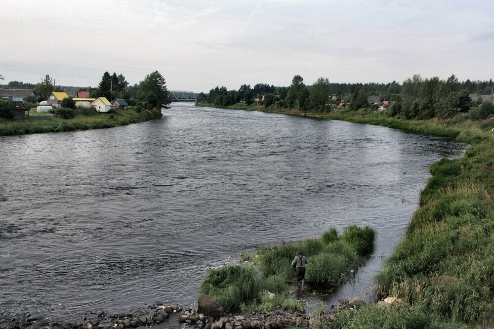 Река Шуя