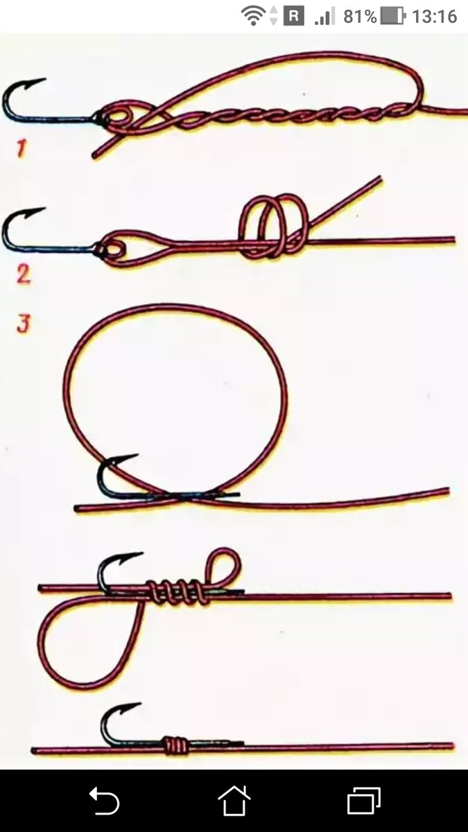 фото рисунок Узел на крючок рыболовный с петлей