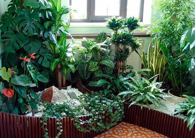 фотография с сайта https://hozyaistvo.com