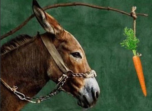 Чувствуете себя таким осликом? Нет? Читайте дальше.