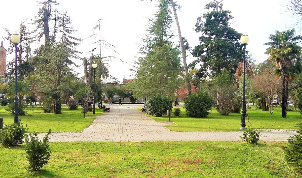 Городской парк. Сухум. Январь 2019 г.