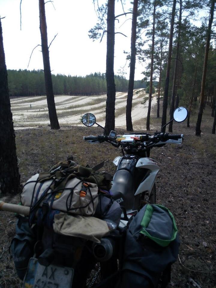 Талисман есть на фото. Если присмотреться вы еще не поняли что это -- читайте статью дальше
