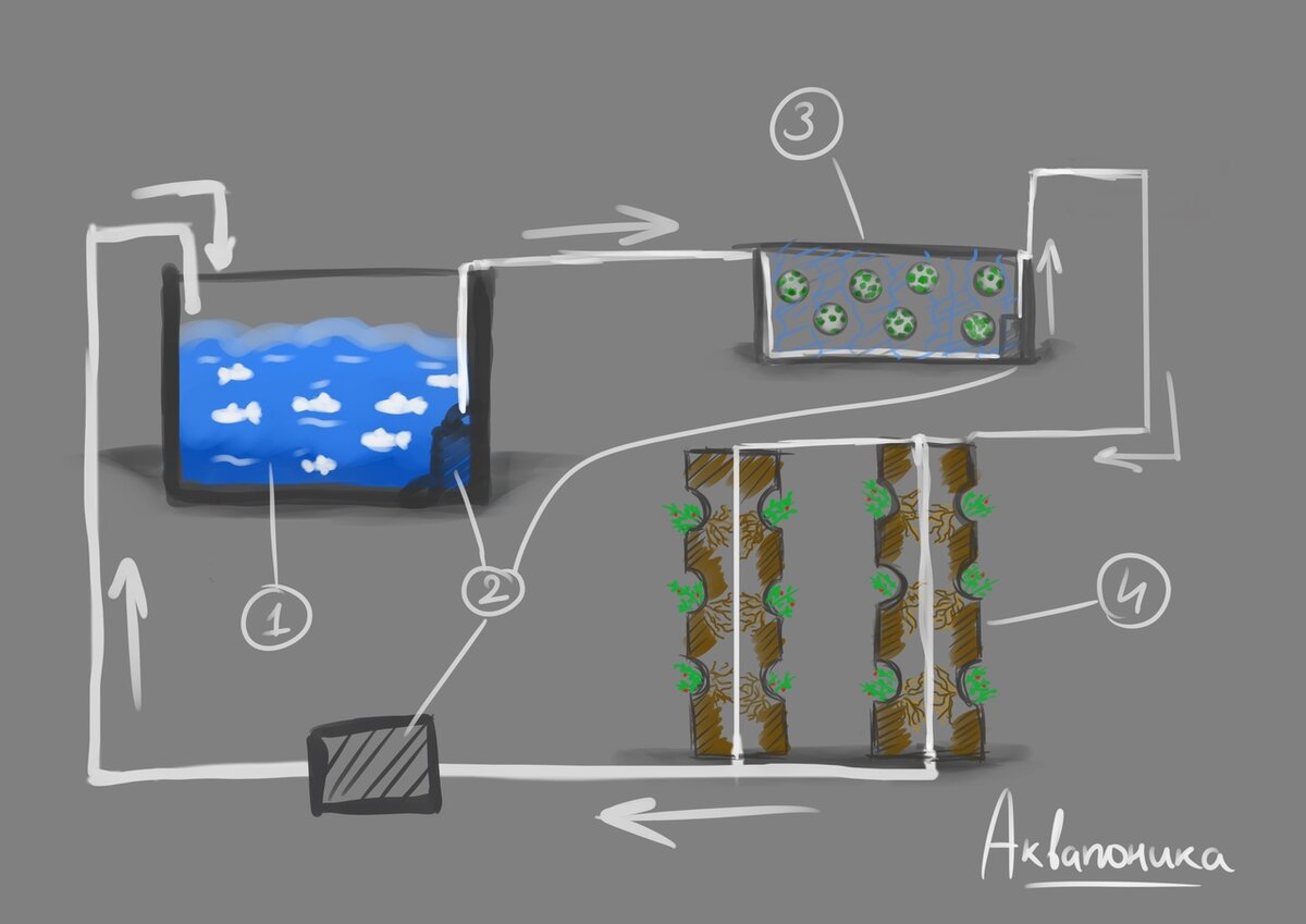 Акваферма своими руками схема пошаговая
