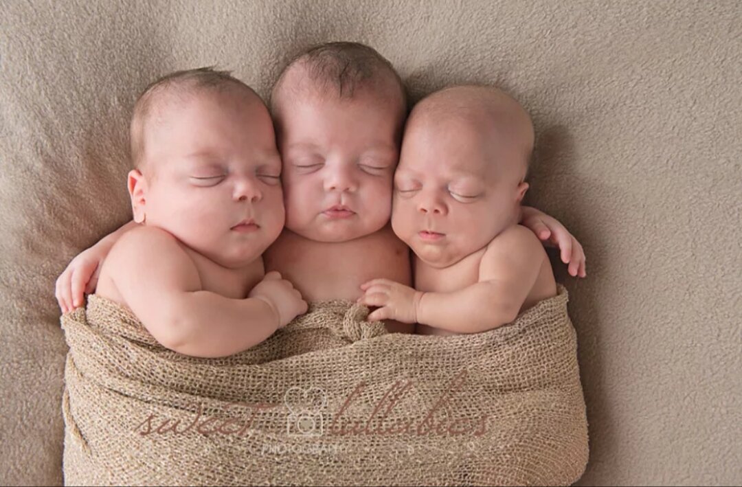 Фото из публичного доступа сети Интернет 