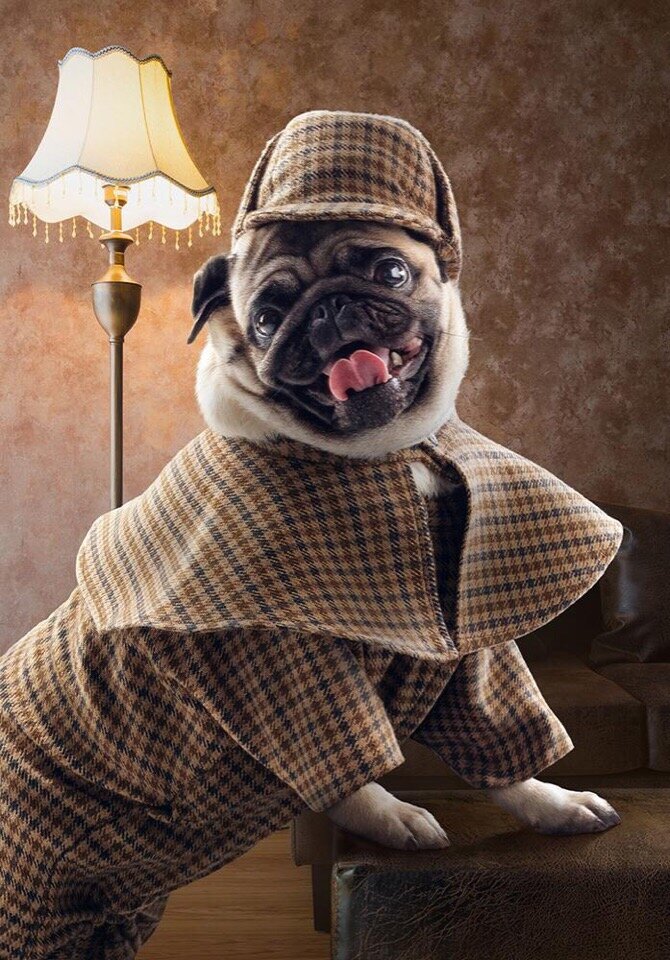 Шерлок Мопс