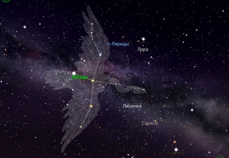 Созвездие Лебедя. 
Фото: Cosmosmagazine