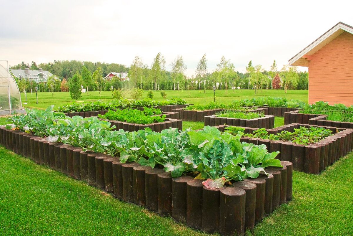 5 идей для оформления домашнего огорода