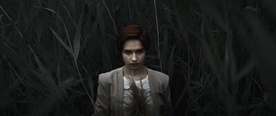 Источник фото: unsplash.com