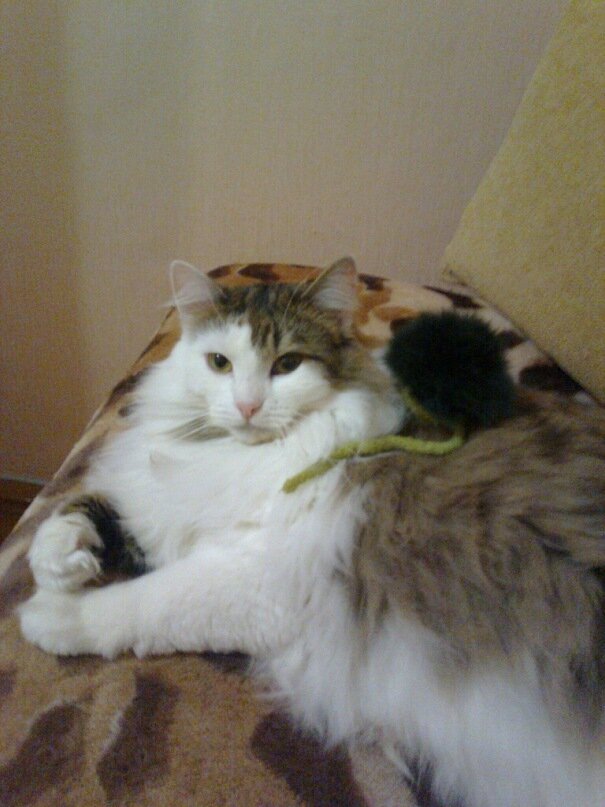 С любимой игрушкой.   Фото из личного архива автора.