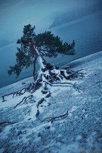  Автор фотографии; Светлана Казина