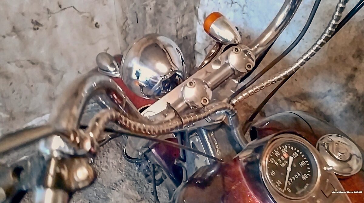 Вот он, мой красавец, активный участник последних публикаций)