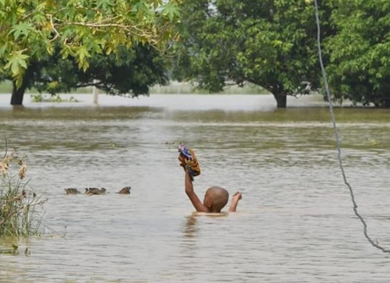 Источник: @explor_bihar