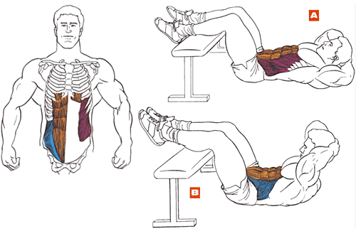 Заметьте какой небольшой прогиб получается в спине - не отрывайте низ спины во время упражнения!!!
