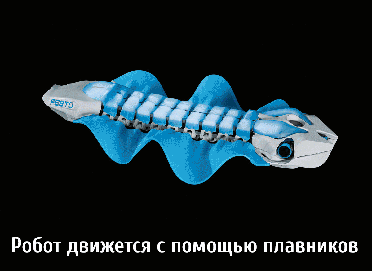 Конечно, есть и более экзотические бионические роботы. Например, робот, имитирующий корни деревьев.