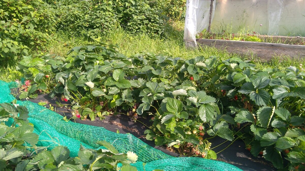 Источник: фото автора