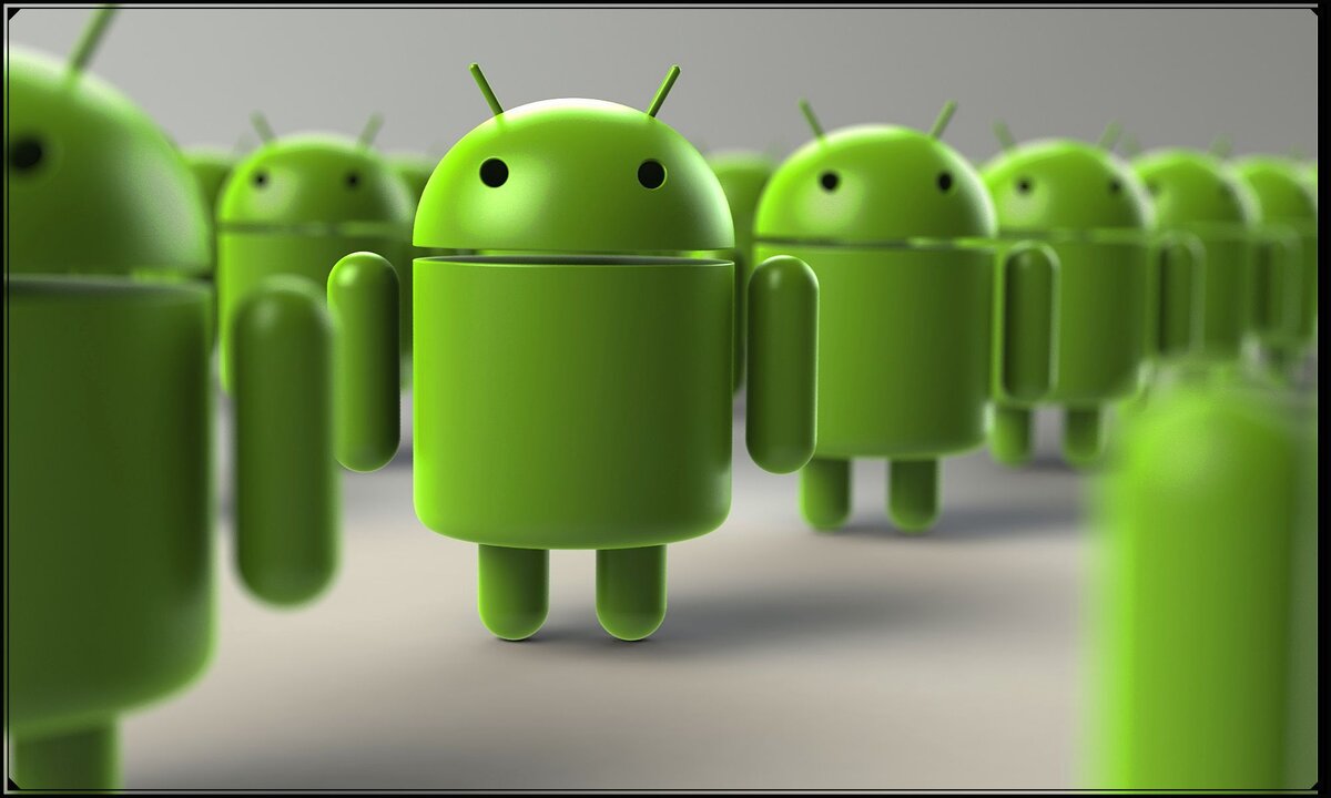 фото взято из интернета